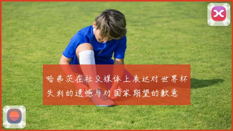 哈弗茨在社交媒体上表达对世界杯失利的遗憾与对国家期望的歉意